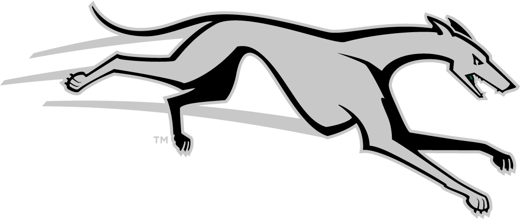 Loyola-Maryland Greyhounds 2011-Pres Partial Logo DIY iron on transfer (heat transfer)
